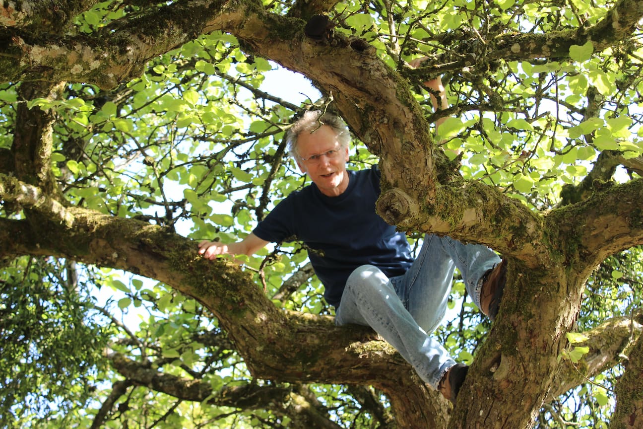 Gerd Klein in der Baumkrone seines liebsten Baumes